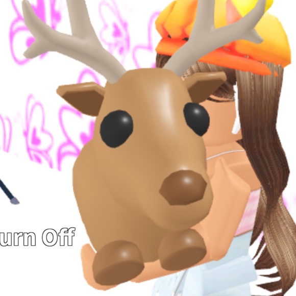 Reindeer adopt me - Picture 1 of 2